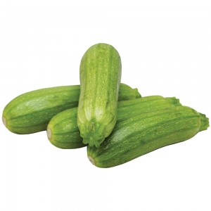 کدو سبز