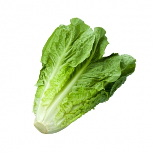 کاهو