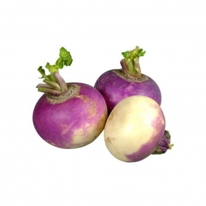 شلغم