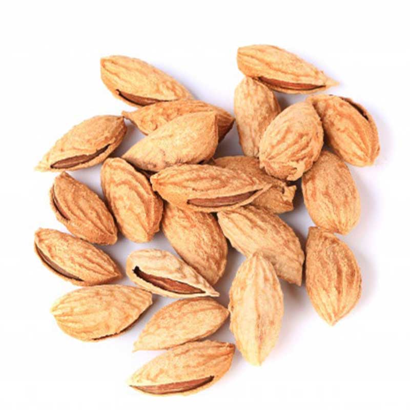 بادام کاغذی