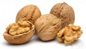 گردو کاغذی